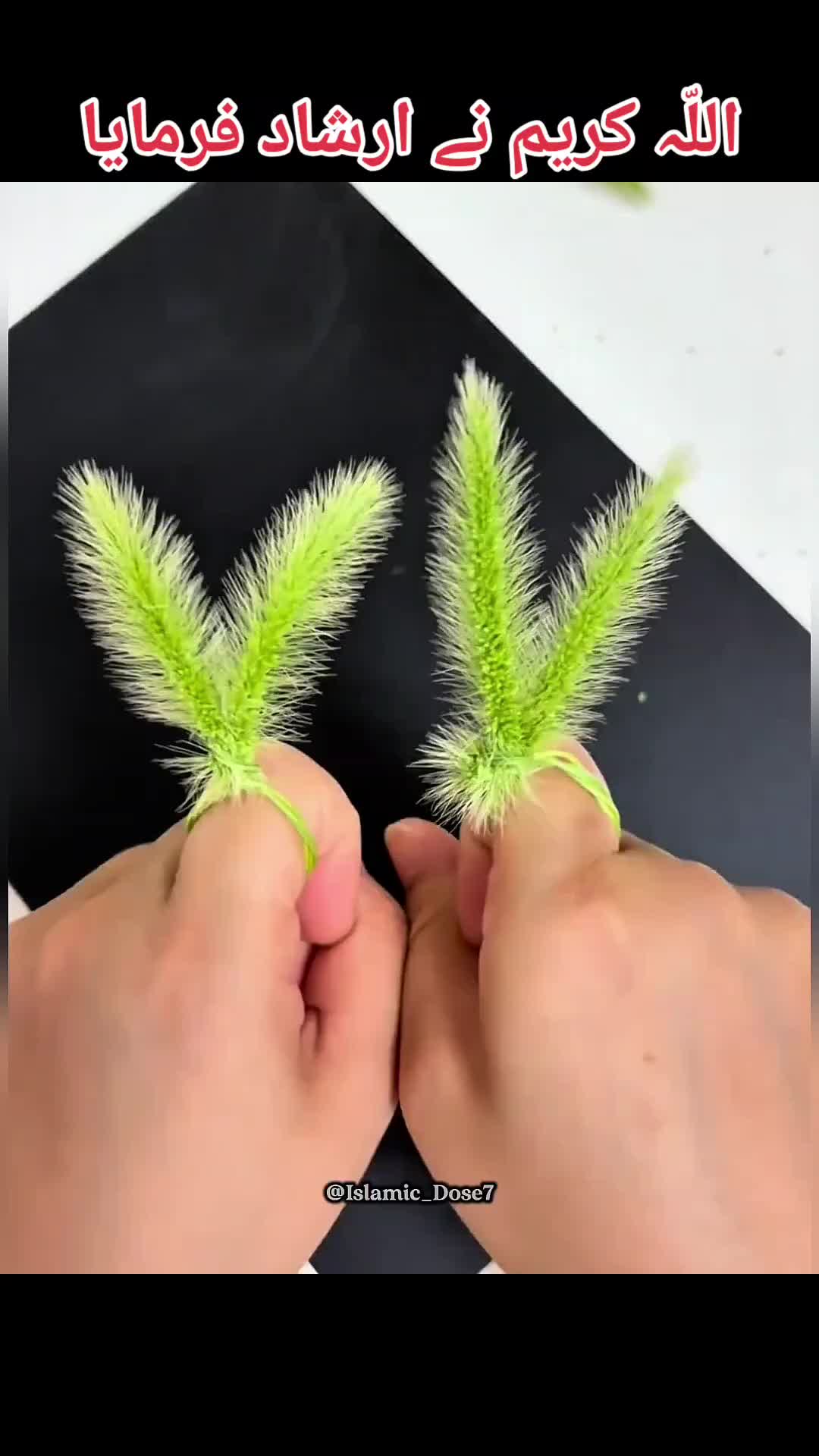 @𝙄𝒔𝙡𝒂𝙢𝒊𝙘_𝘿𝒐𝙨𝒆❤️🩹