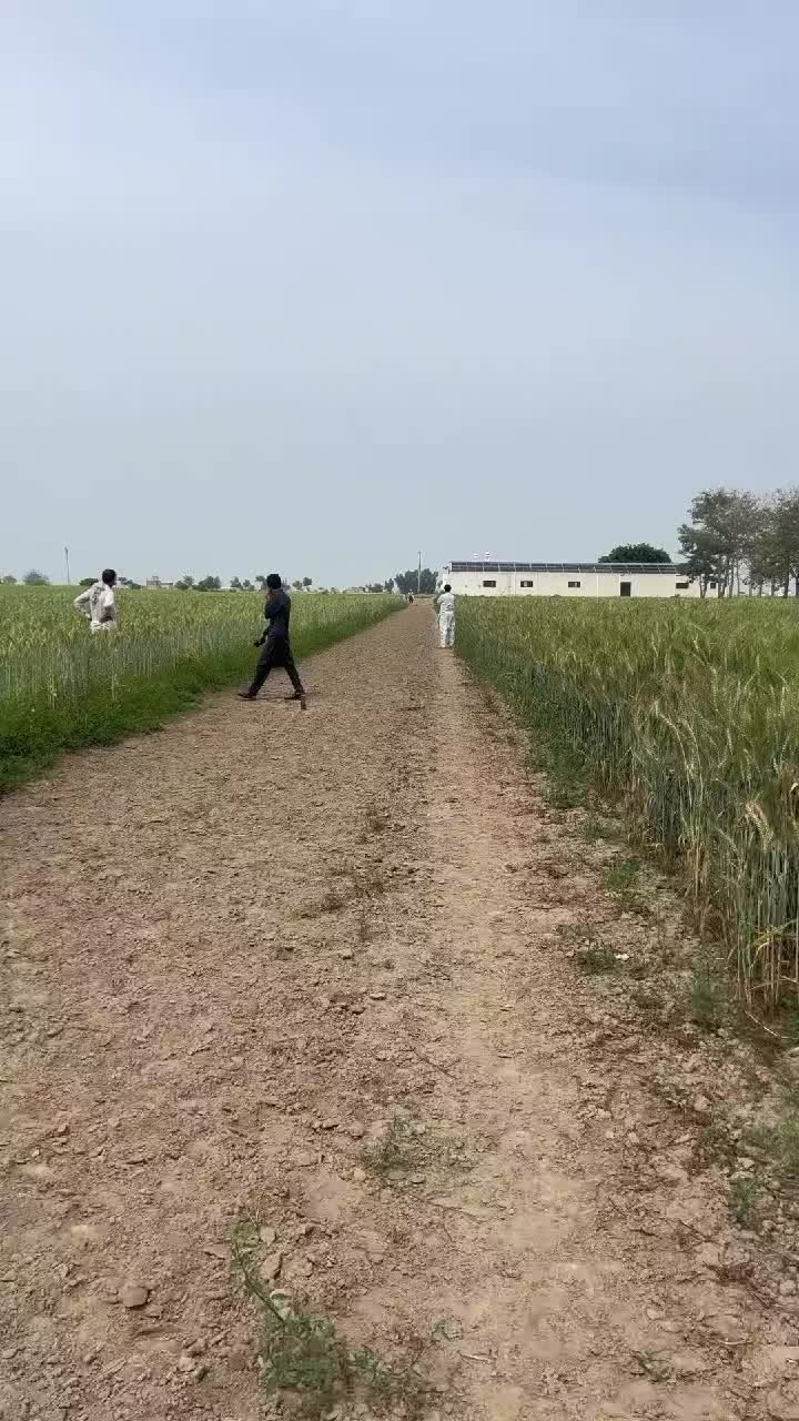 @Malik Ali Abbas Saggu🔥