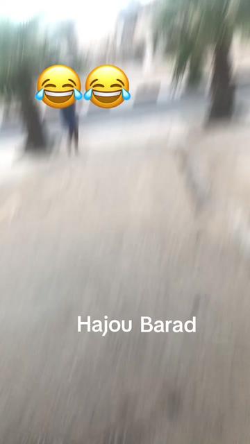 @Kader Hachem46
