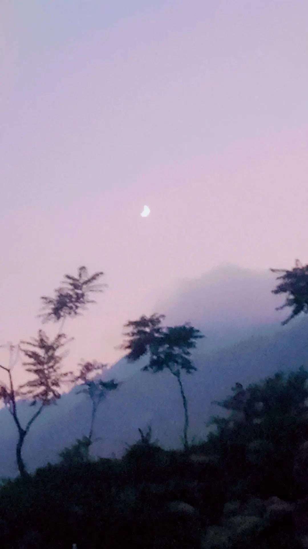 @♥️AwAN♥️