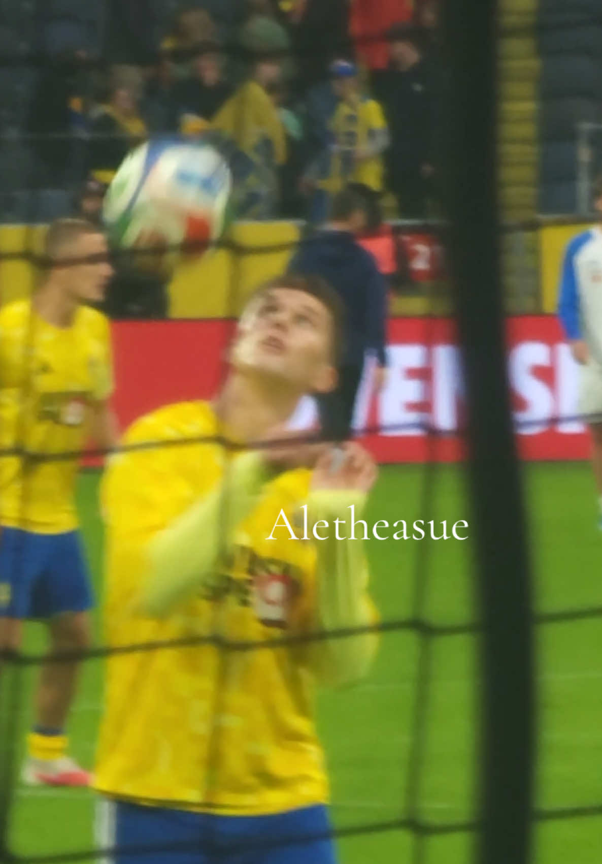 @Aletheasue