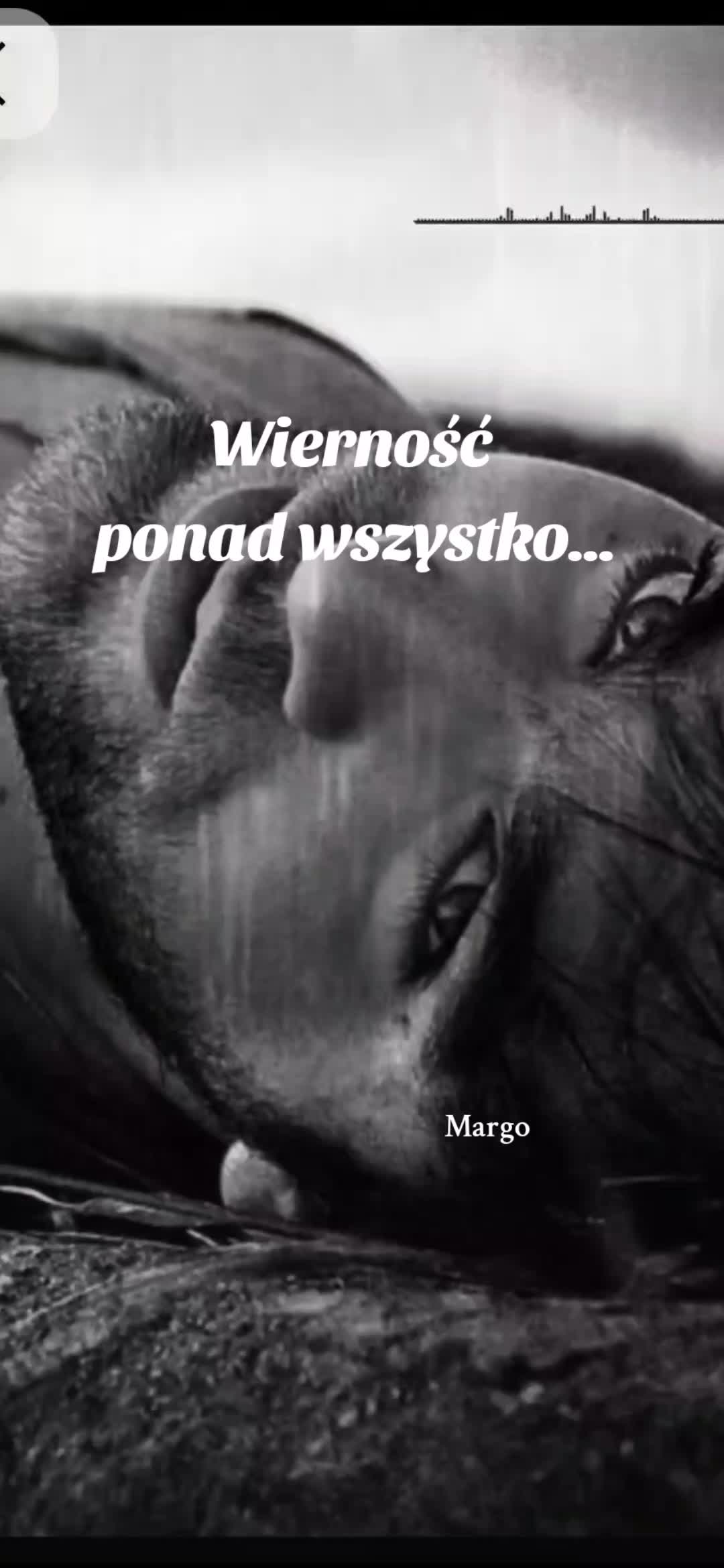 @MARGOlcia✨️