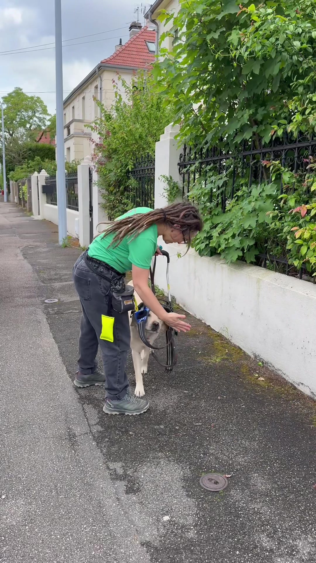 @Chiens Guides de l’Est
