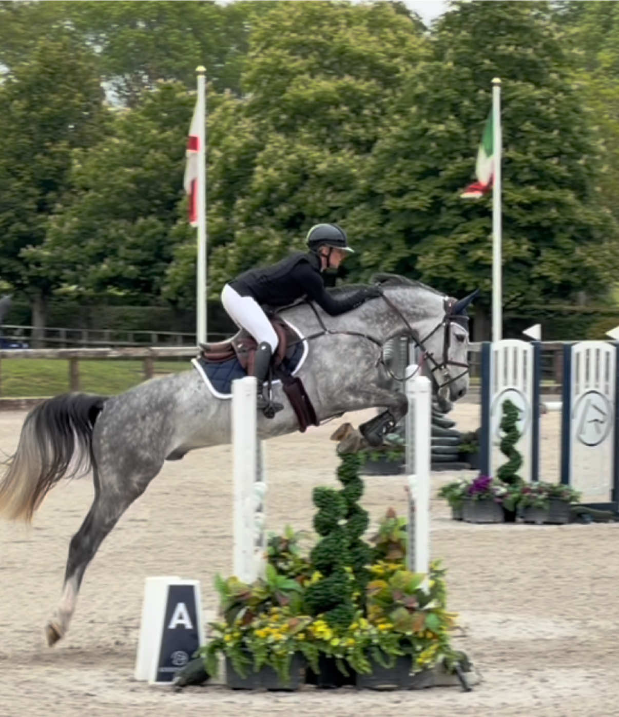 @Lucy Struthers Horses
