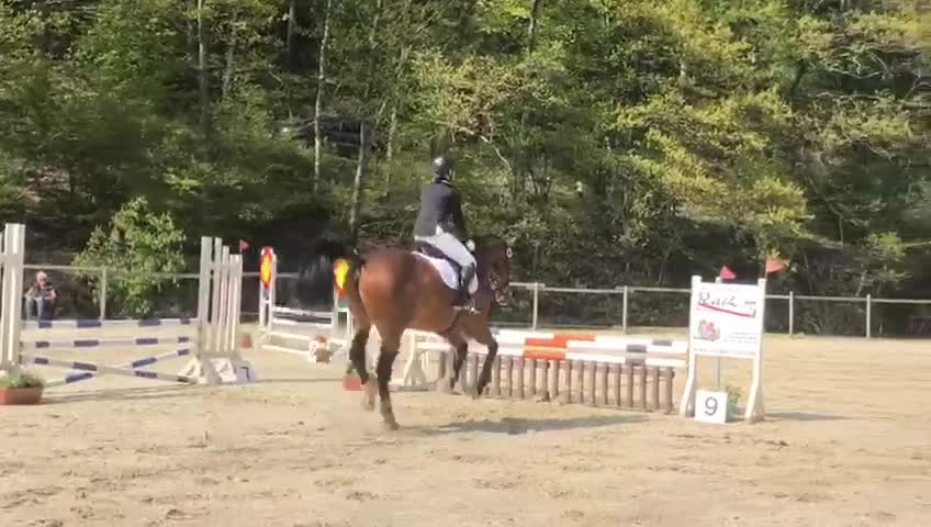@carlottahof