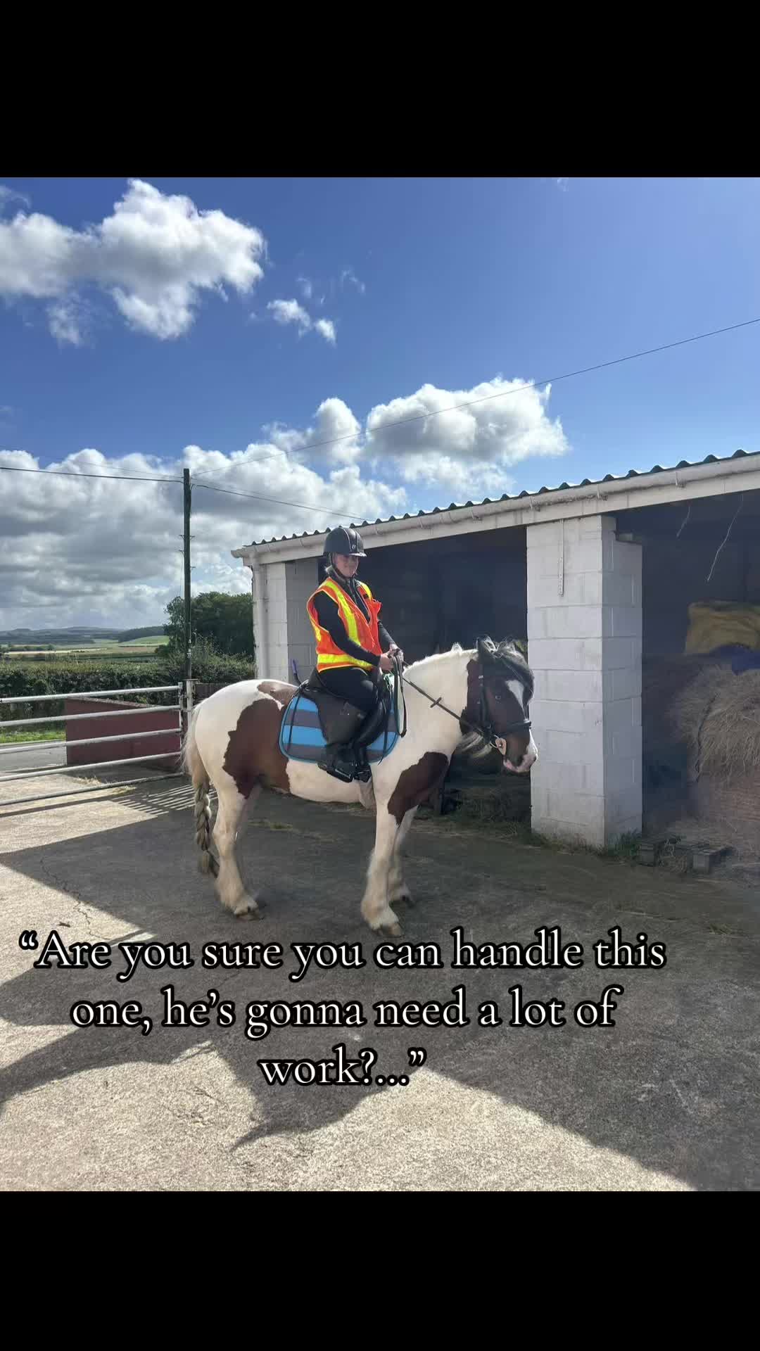 @Lilywiththecobs🐴