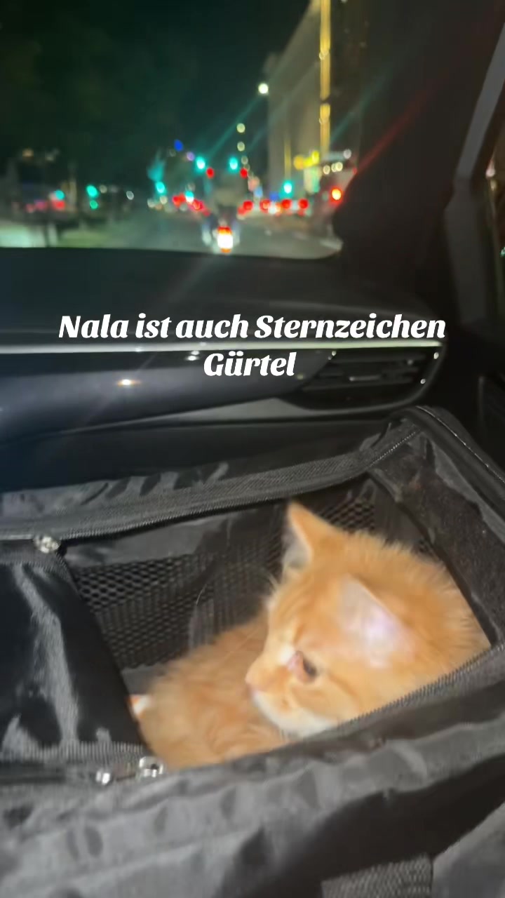 @larissa🇧🇦