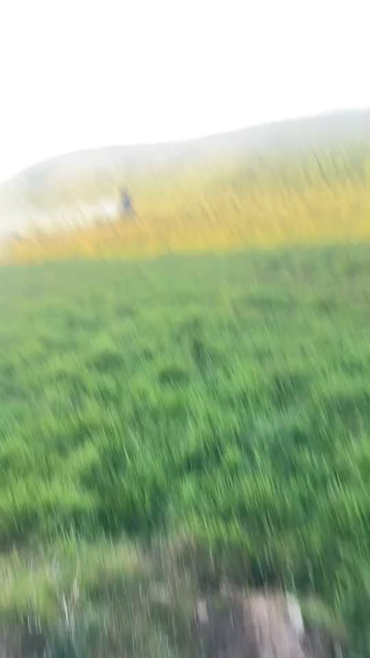 @calum.adamson13