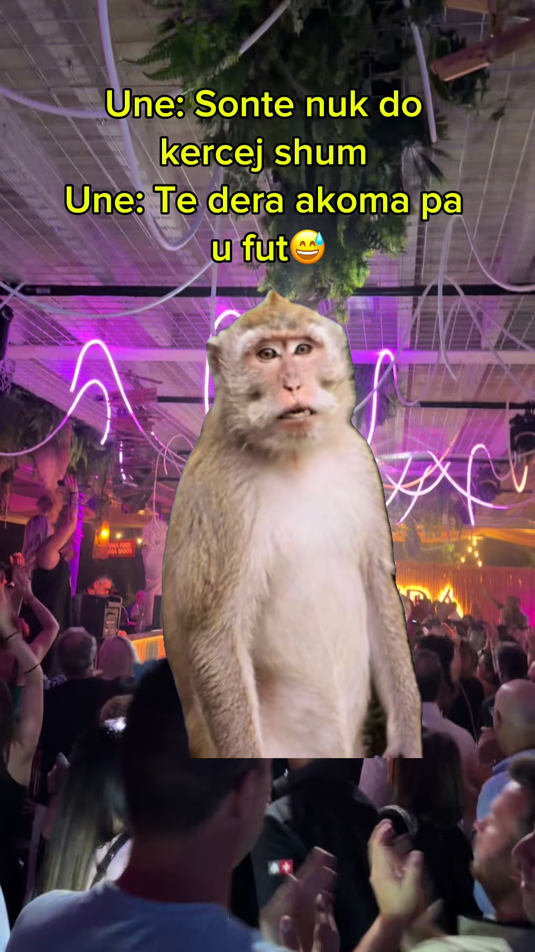 @Rafaela