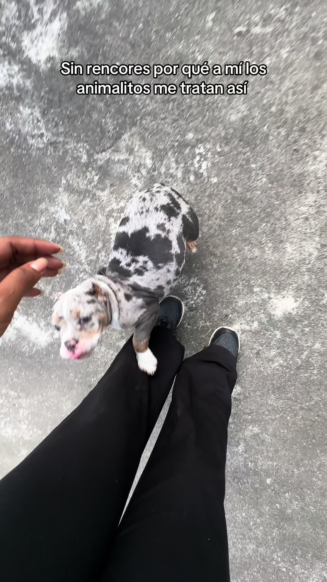 @Coco