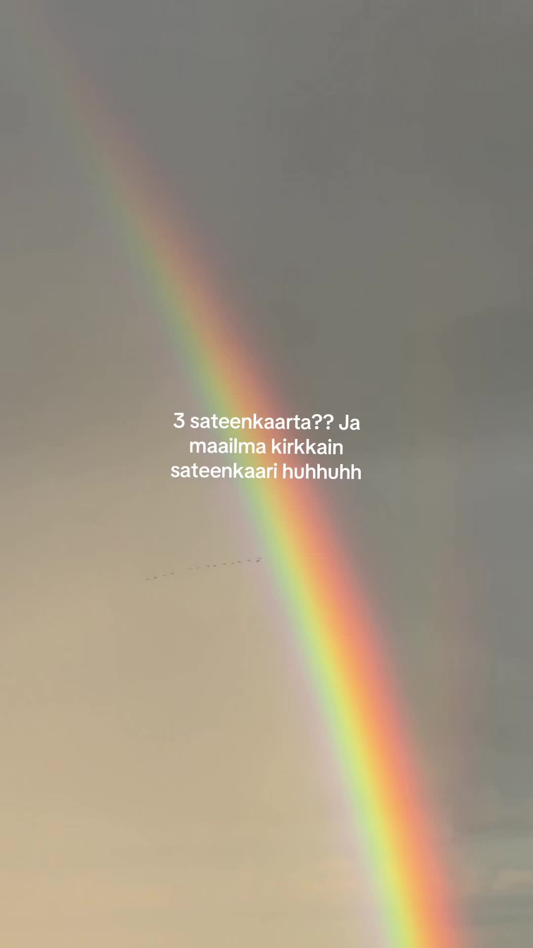 @Nino Ärling