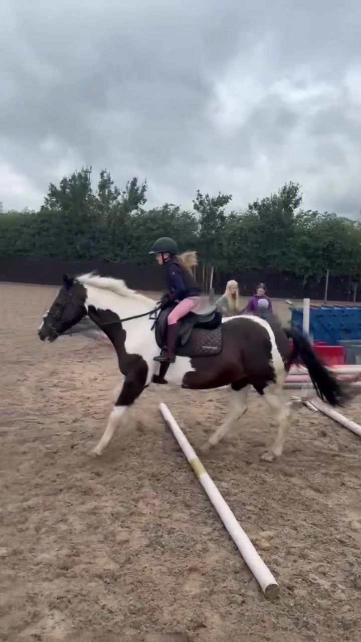 @LottiesHorseAdventures🦄🐴