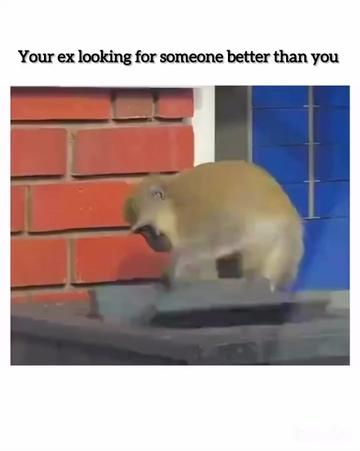 @Taha