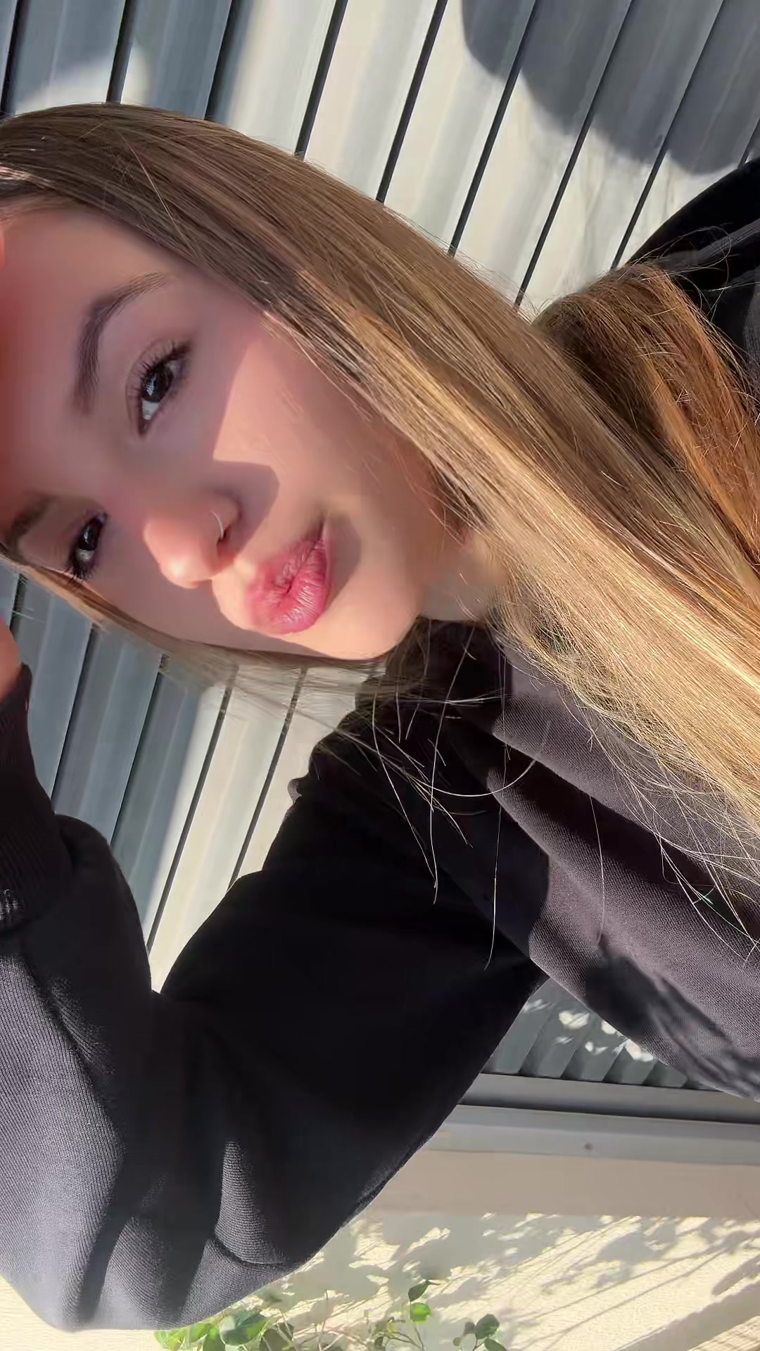 @stella