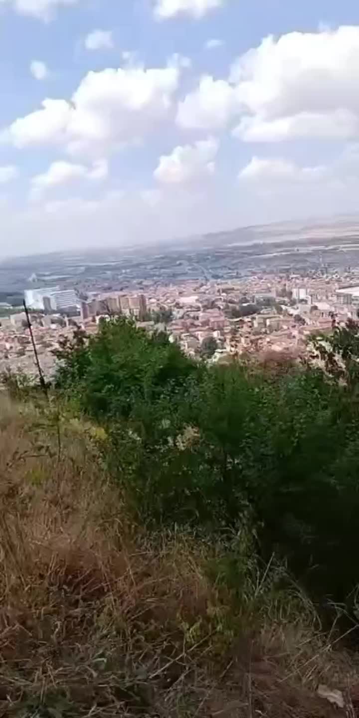 @mesut süzener