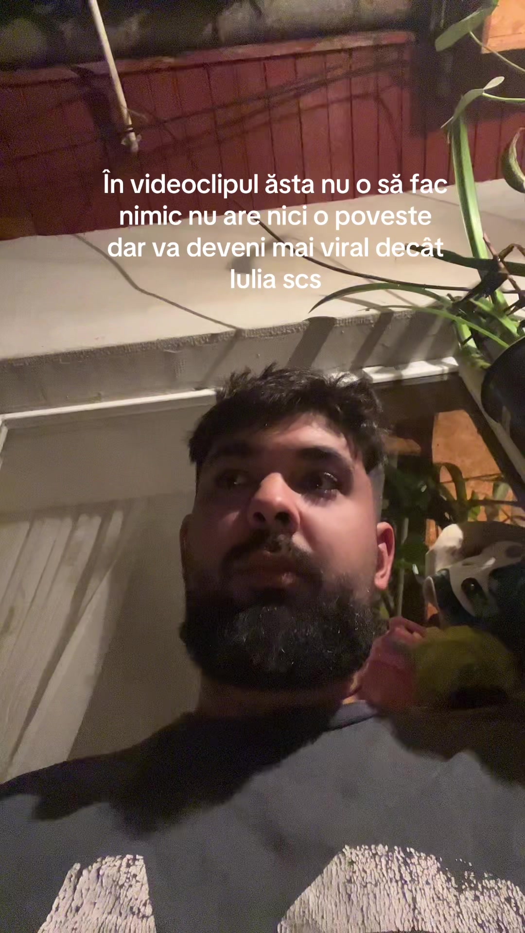 @sicaalexandruwanted112
