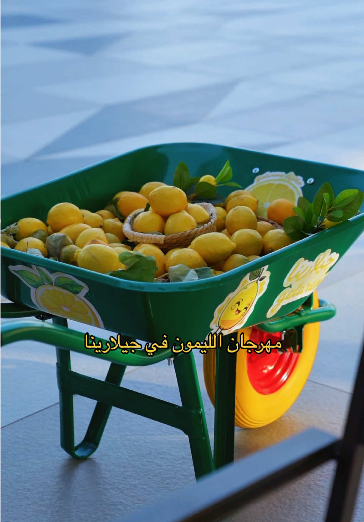 @C FRONT سي فرونت