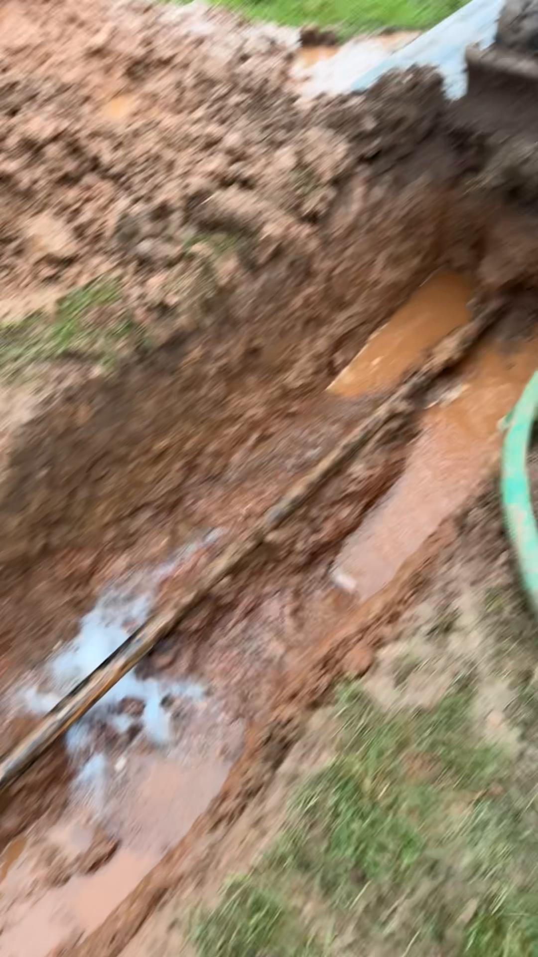 @SquiddlyAndCo