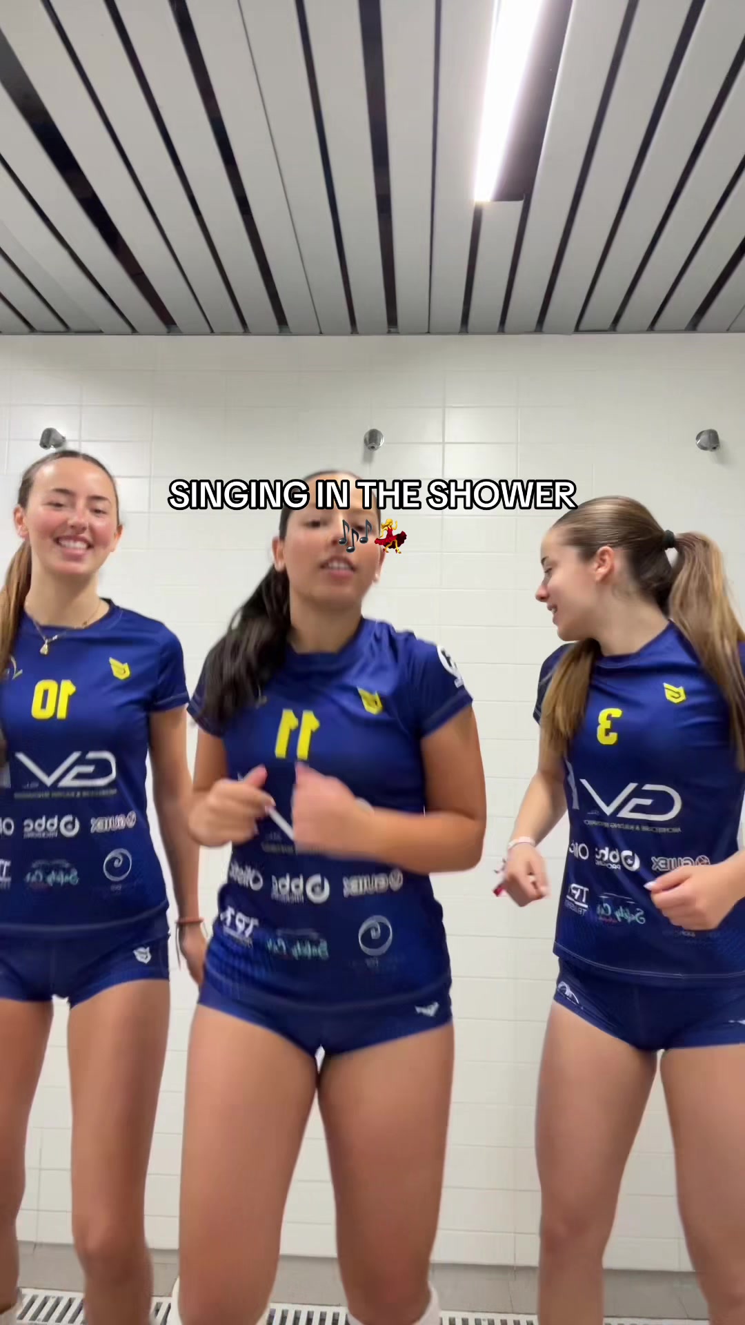 @vandevibras
