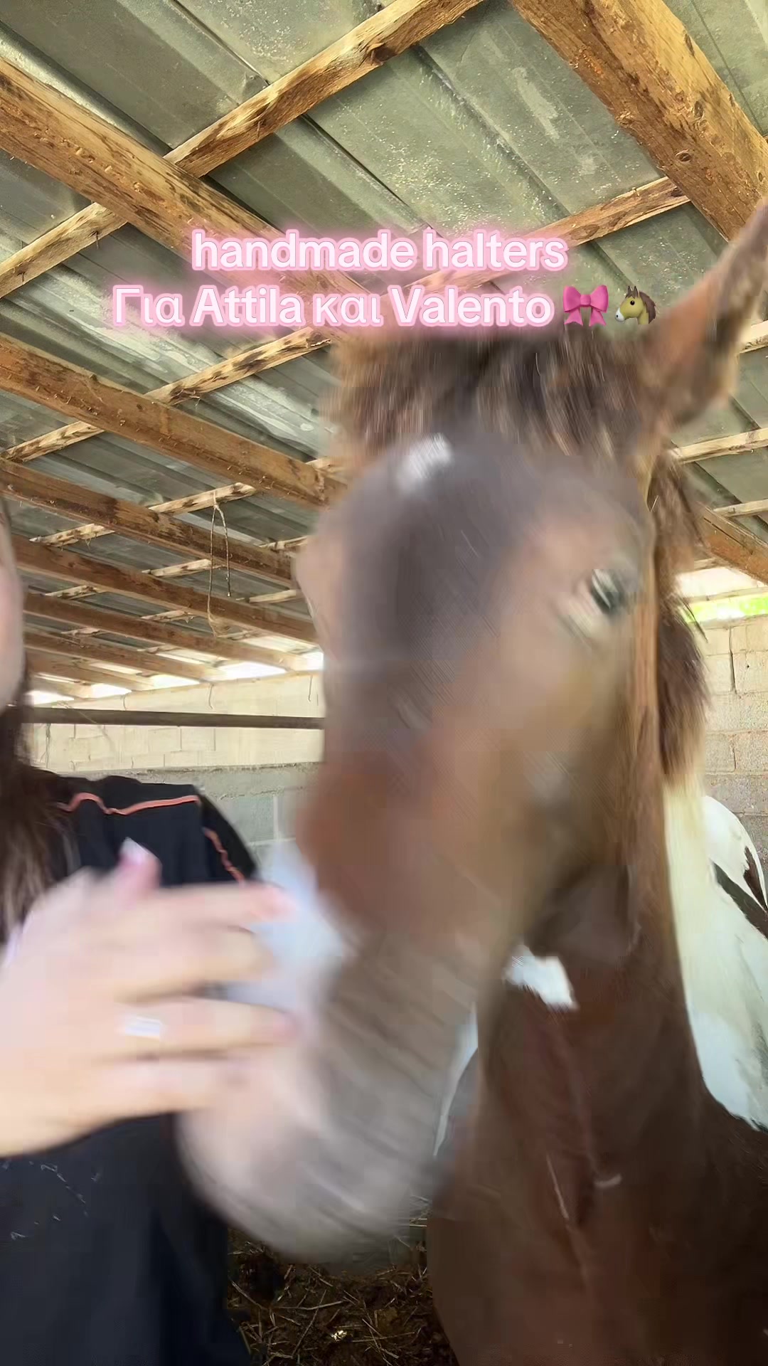 @Tatsiou🐎