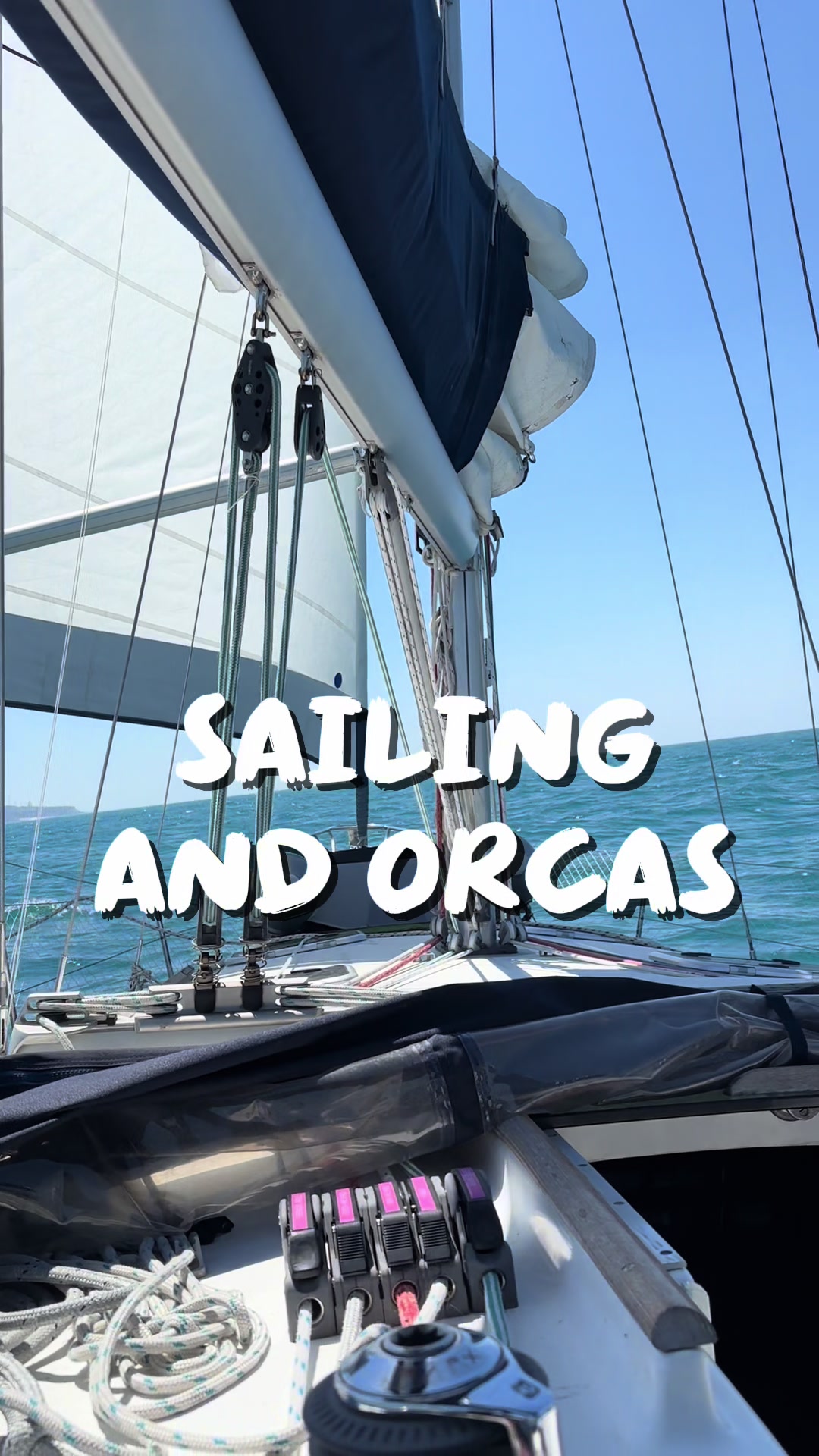 @BoatVet