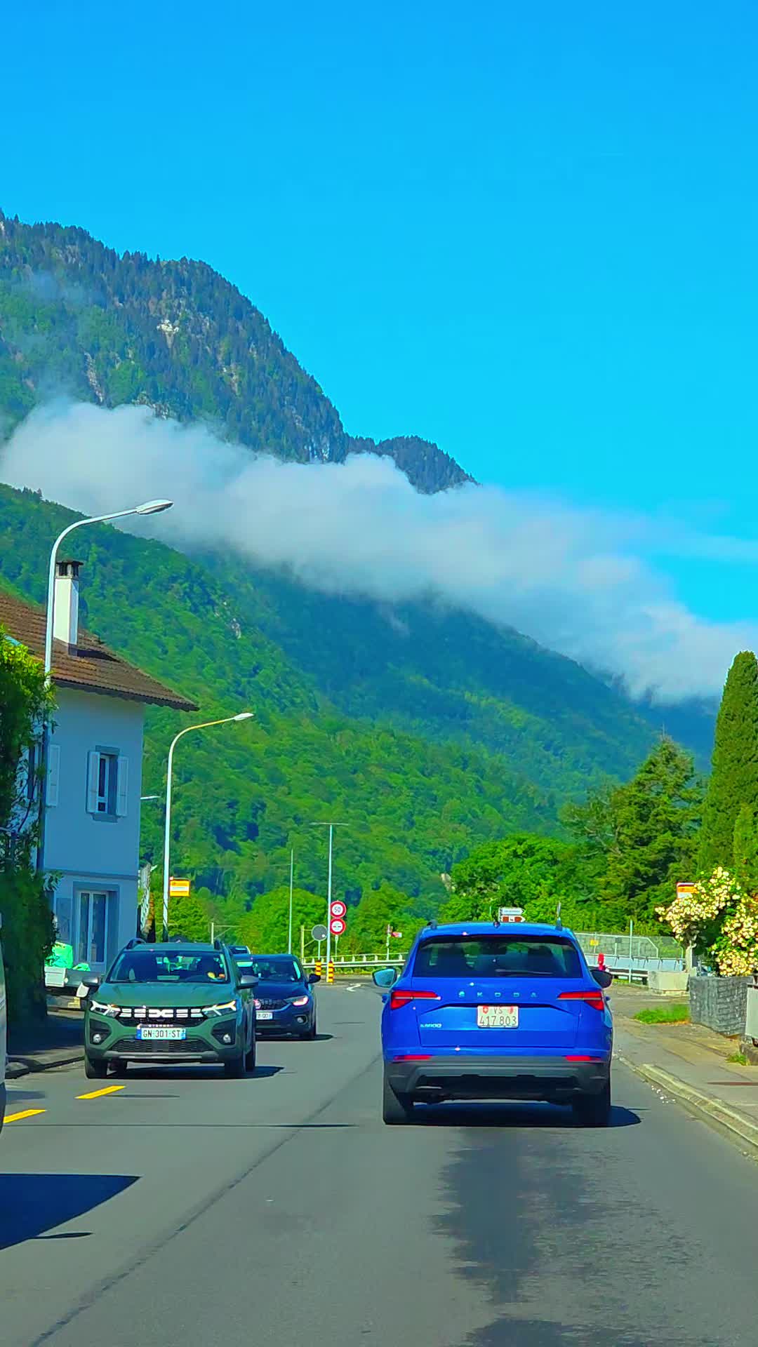@🇨🇭flores Sérgio 🇵🇹