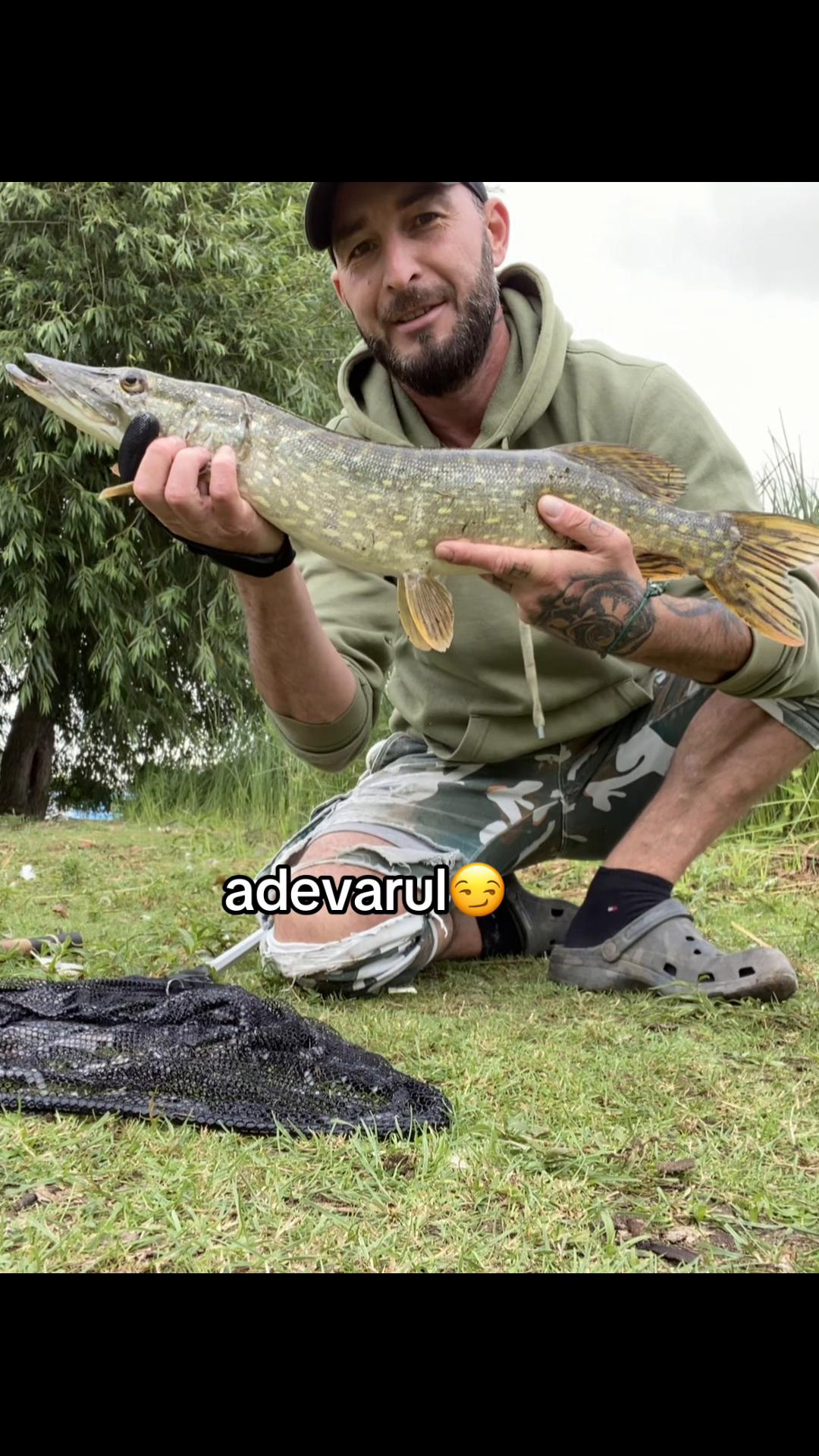@RobertClaudiu