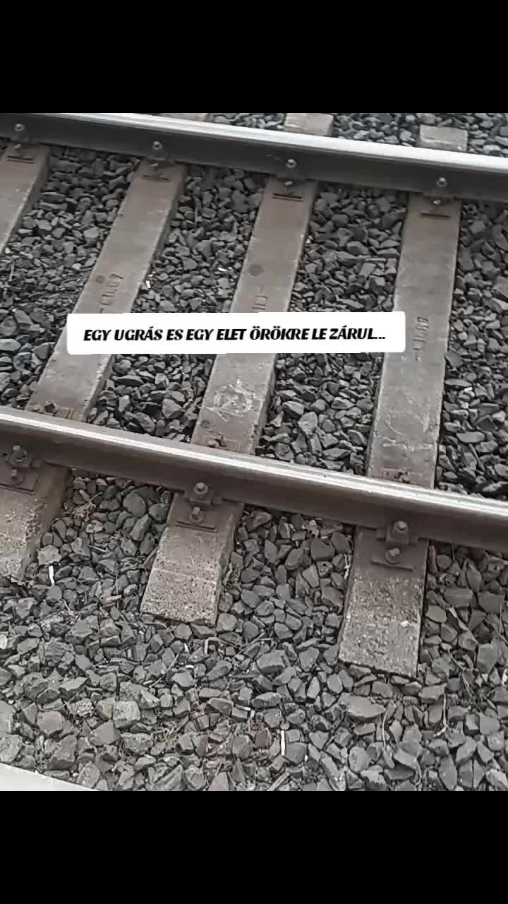 @szamodra_csakh_tifiiiii