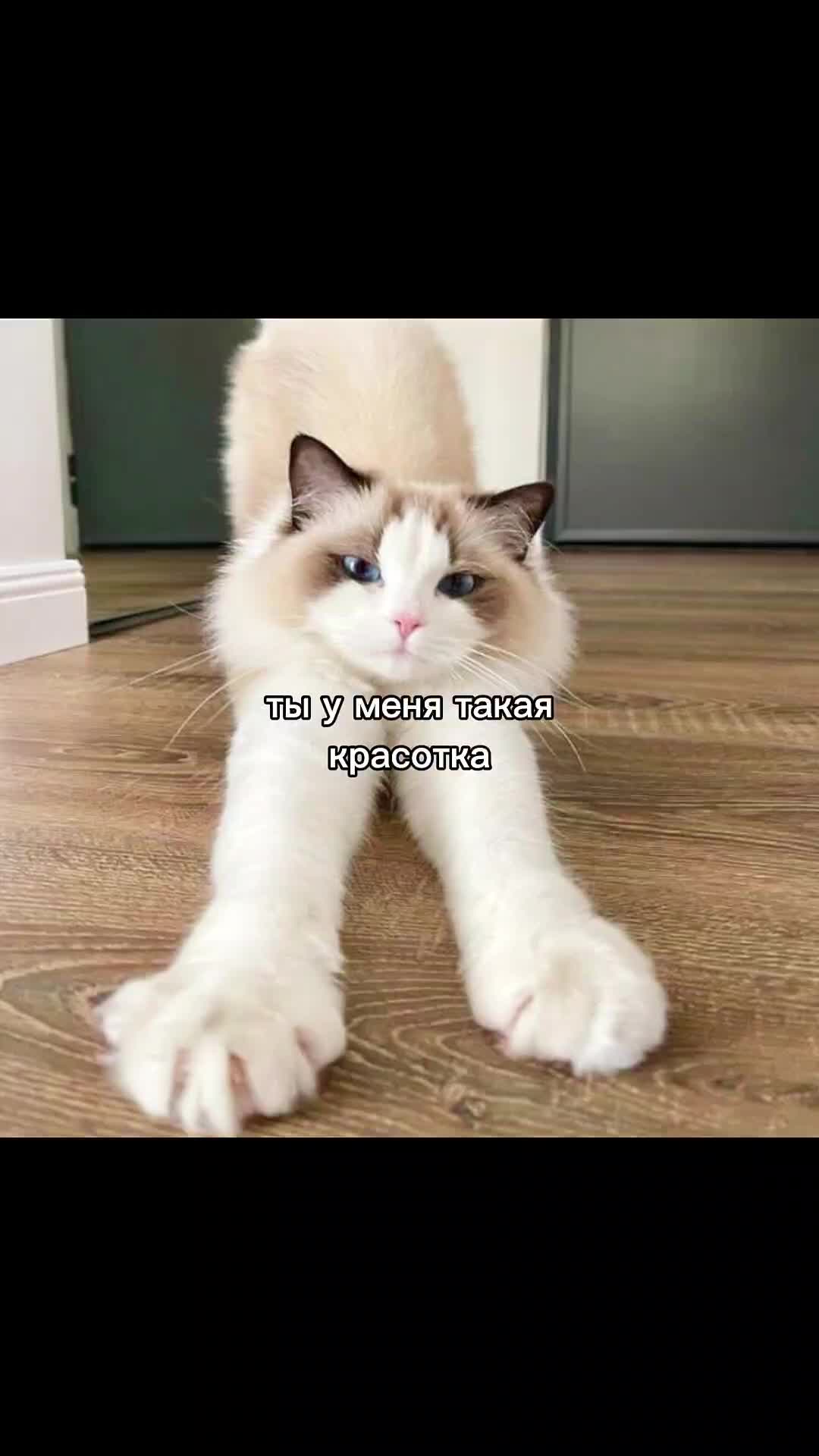 @dwee