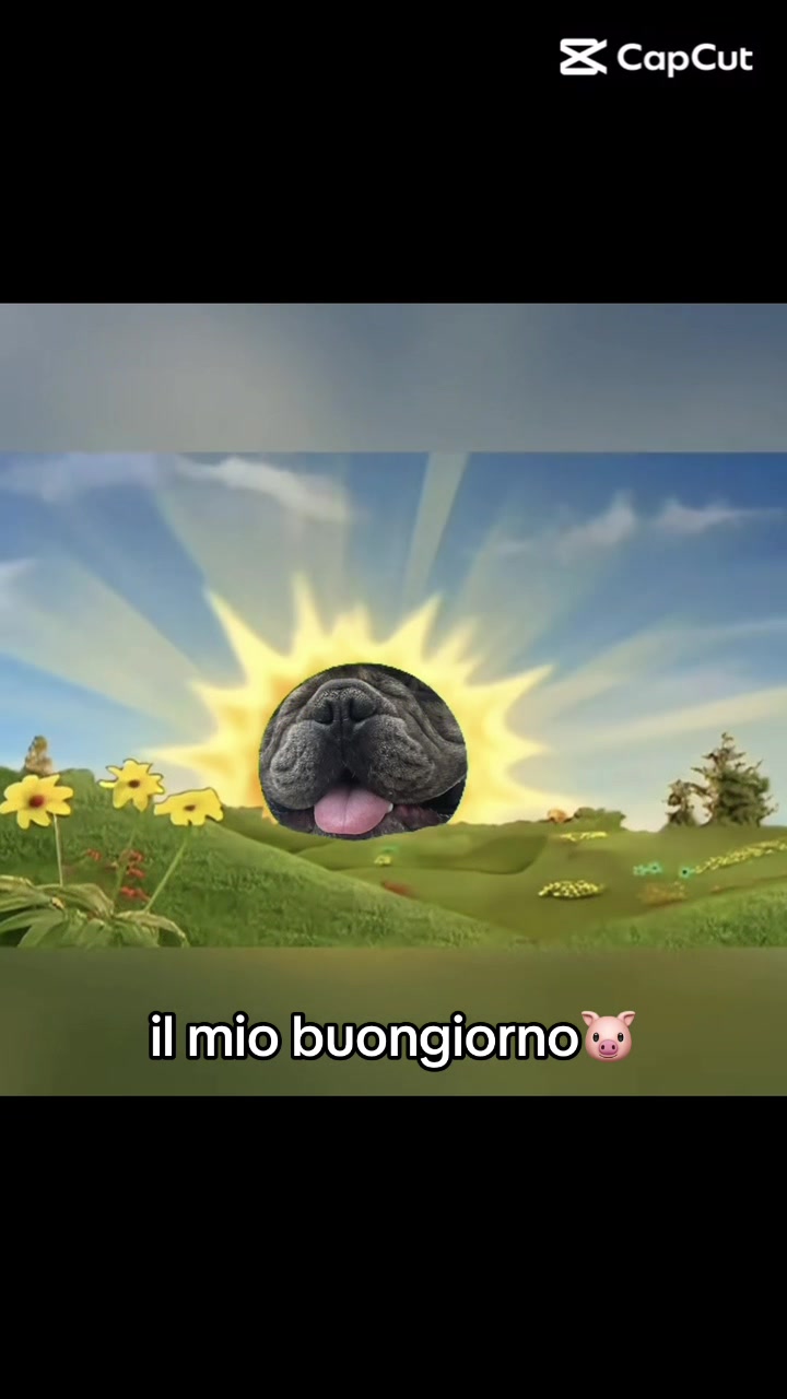 @marti.levantini