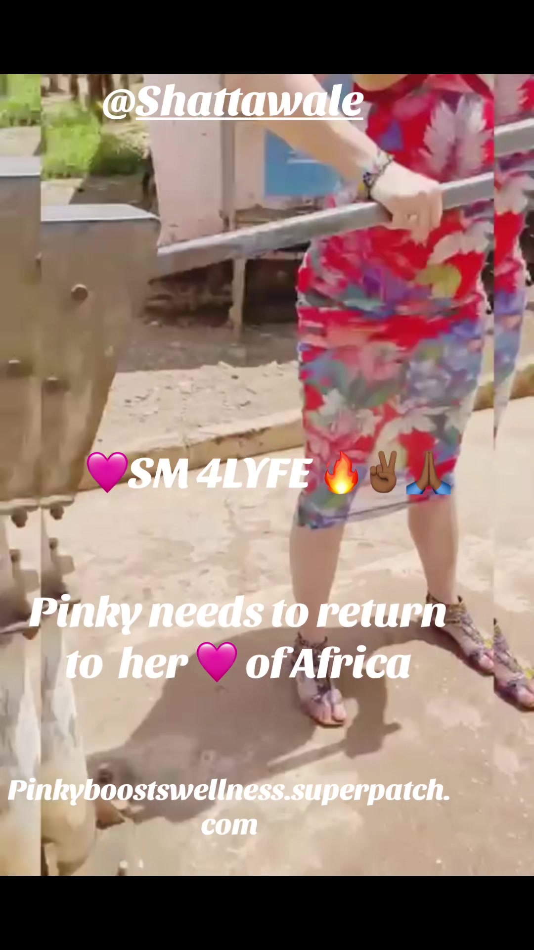 @SHATTA PINKY HEALTHY SM 4LYFE