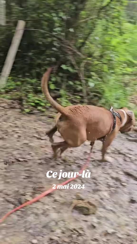 @flopy et Urion