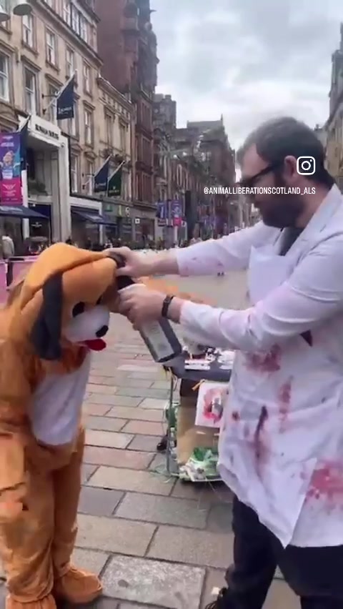 @animalliberationscotland