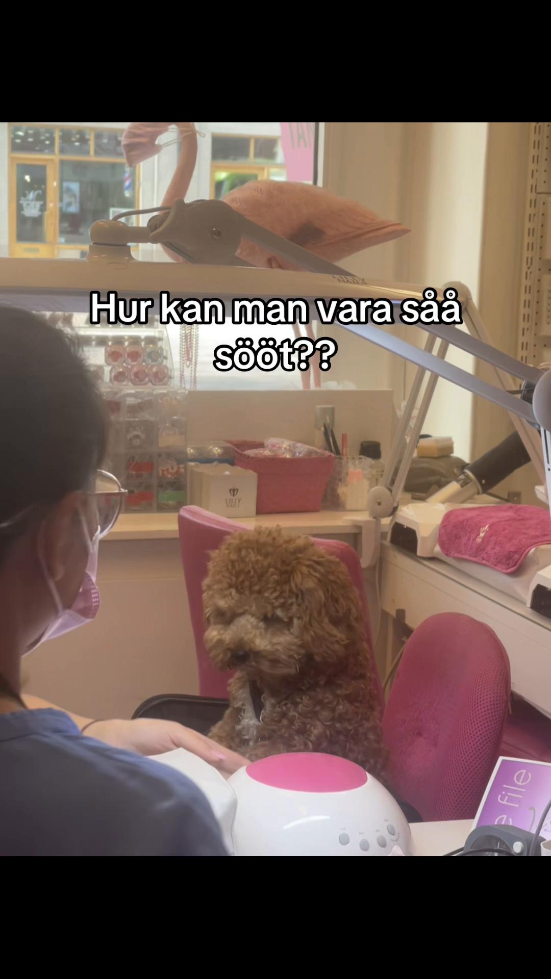 @Stockholm Manicure Lillynails