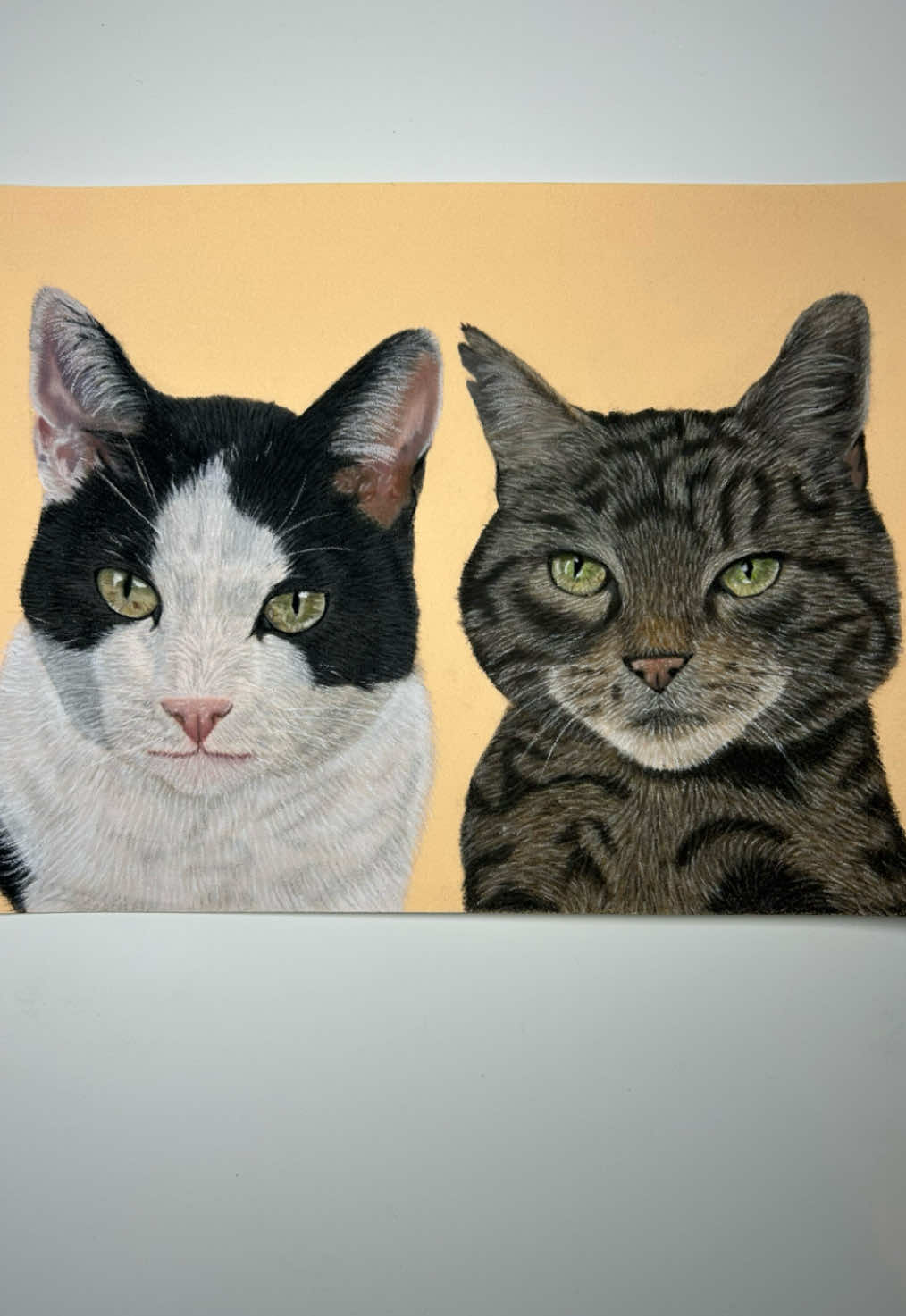 @Pet portraits