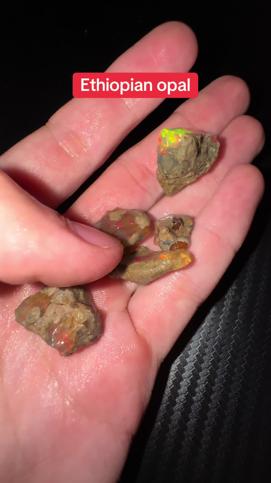 @AidansFossils.Fish.Minerals