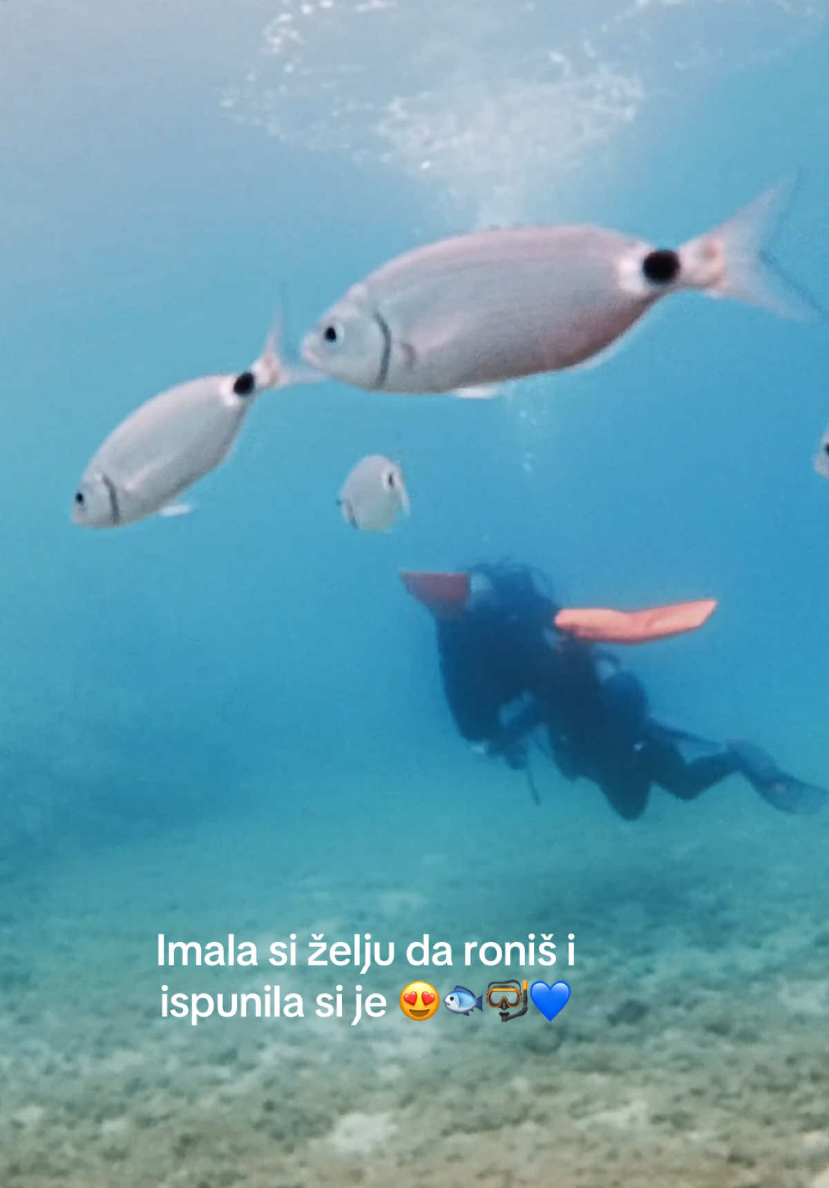 @Mirela 🇳🇴🇧🇦