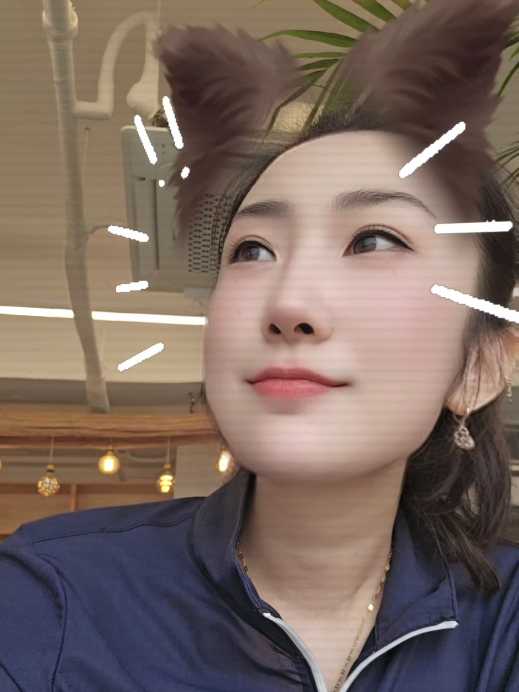 @🐰兔子🐰
