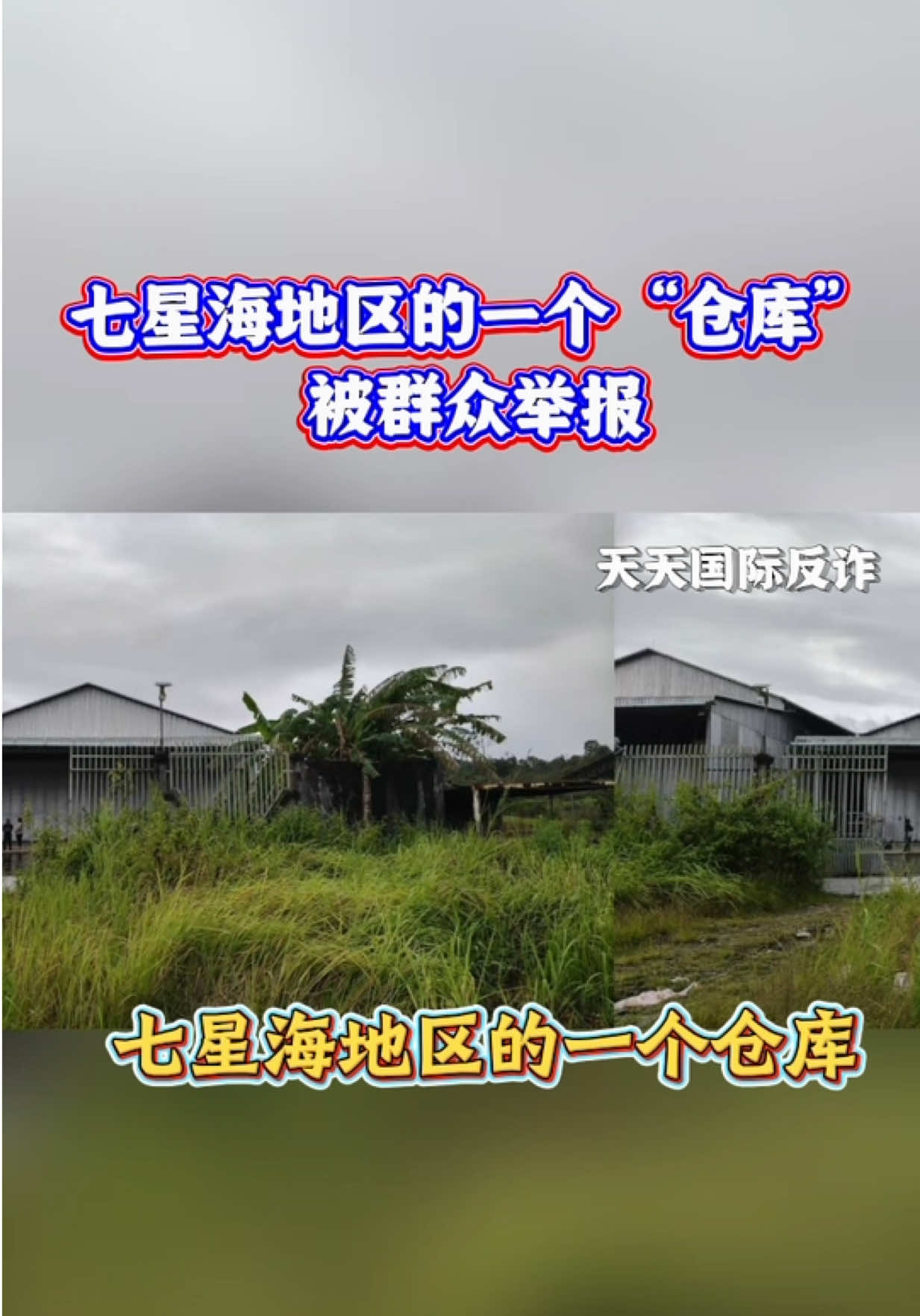 @东南亚大事件【天天国际反詐】