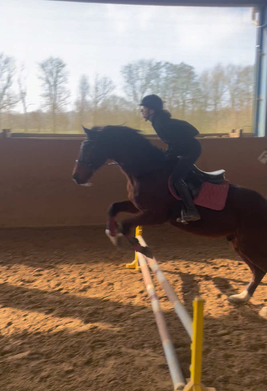 @reiterhofalteheld