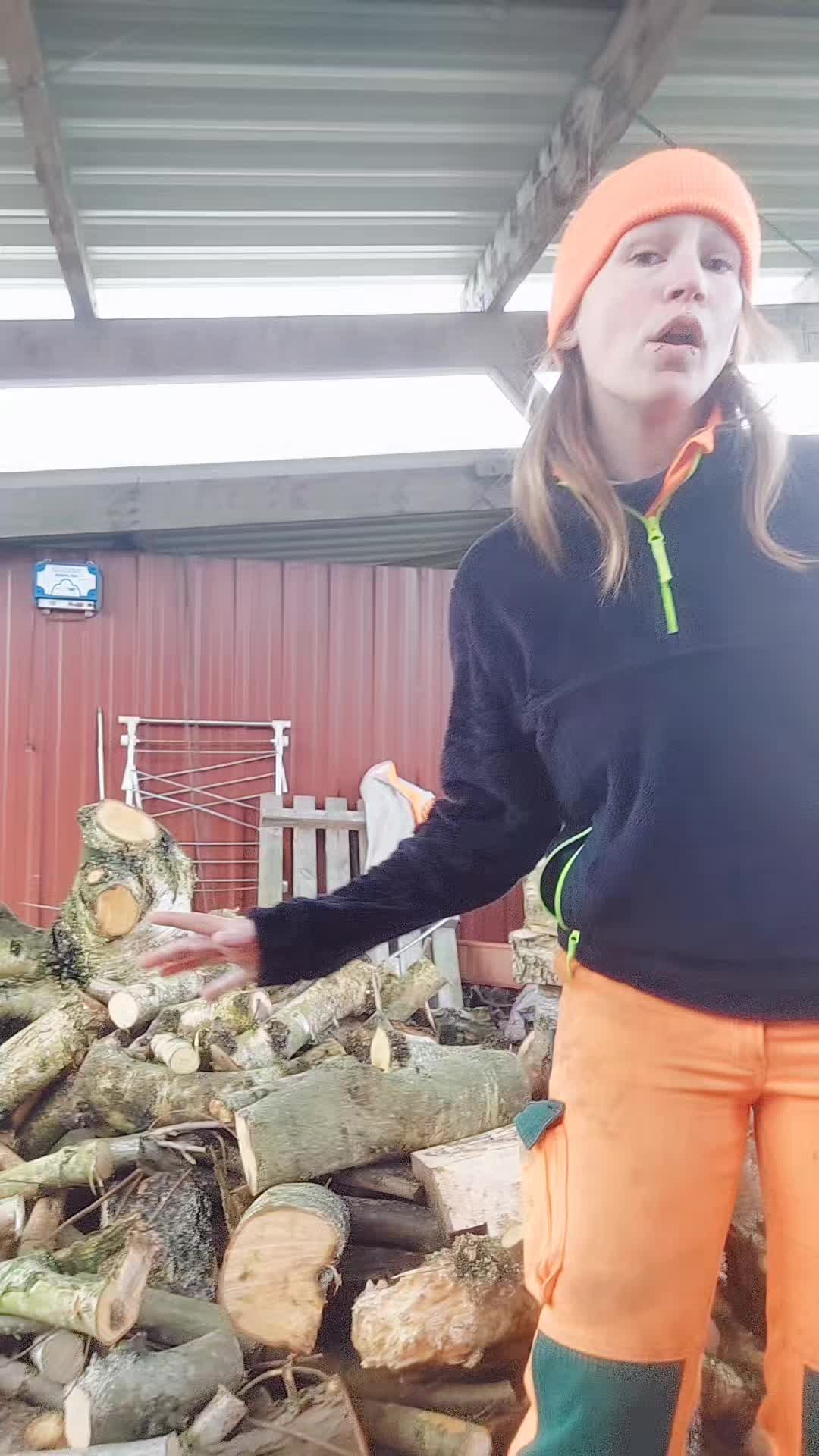 @FrauvomBau
