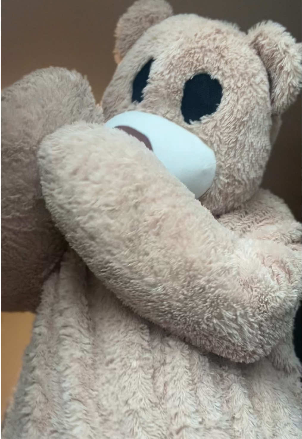 @teddytok