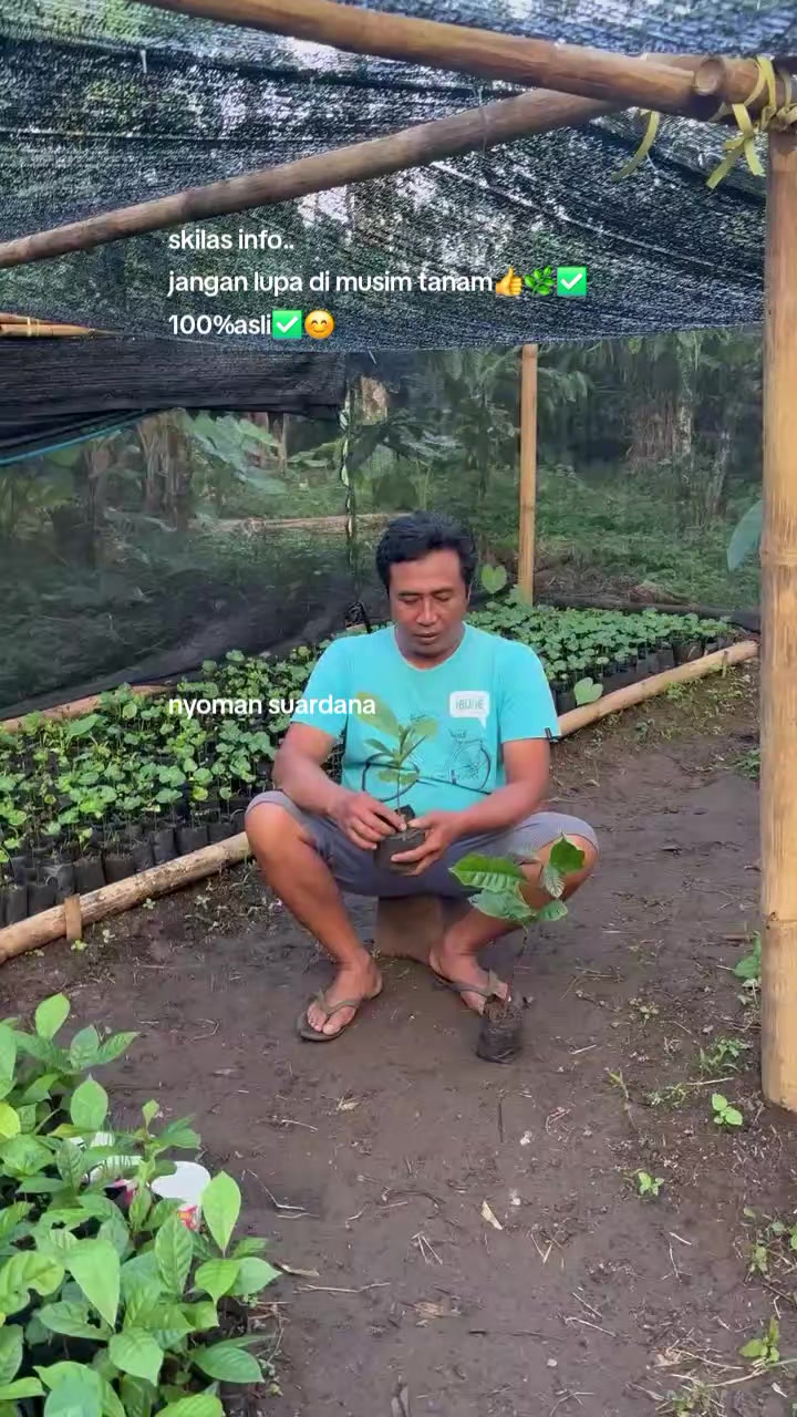 @Nyoman Suardana