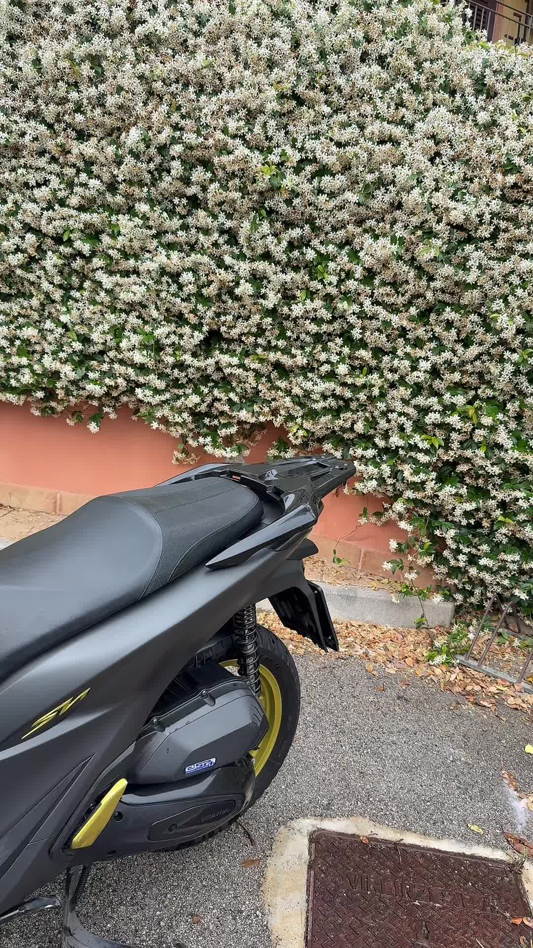 @Vincenzo De Luca