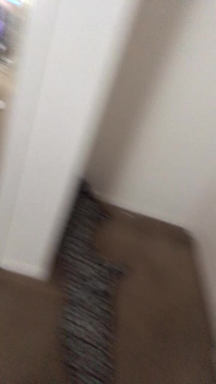 @gay.cat.furry