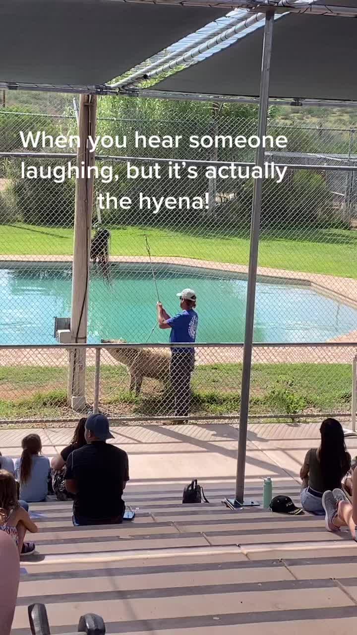 @mommazehr369