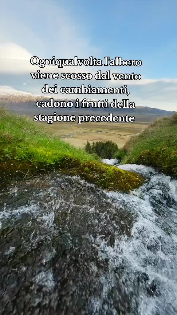@💙 H34RT 0F D14M0ND 💎