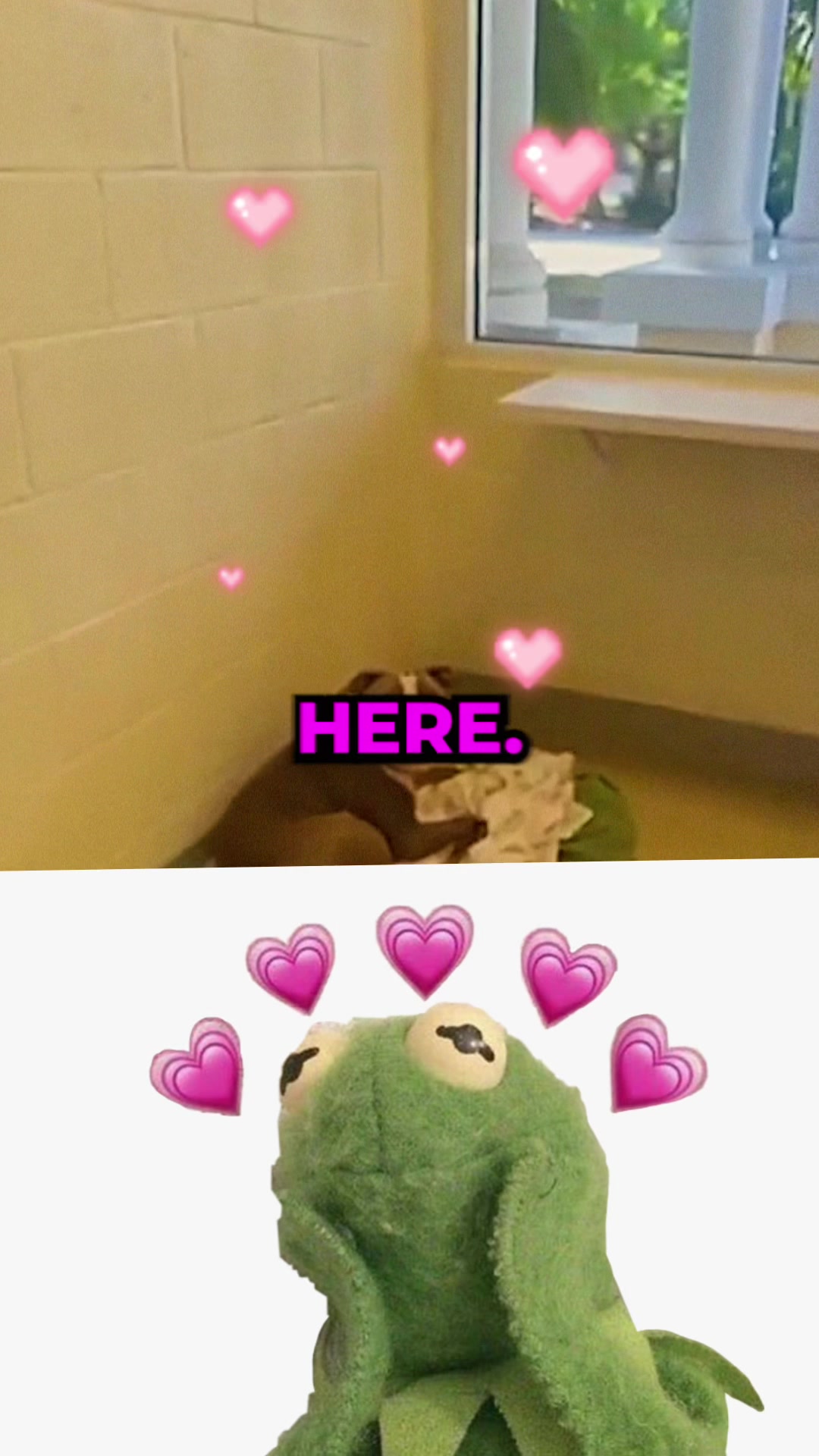 @Bryce Adams