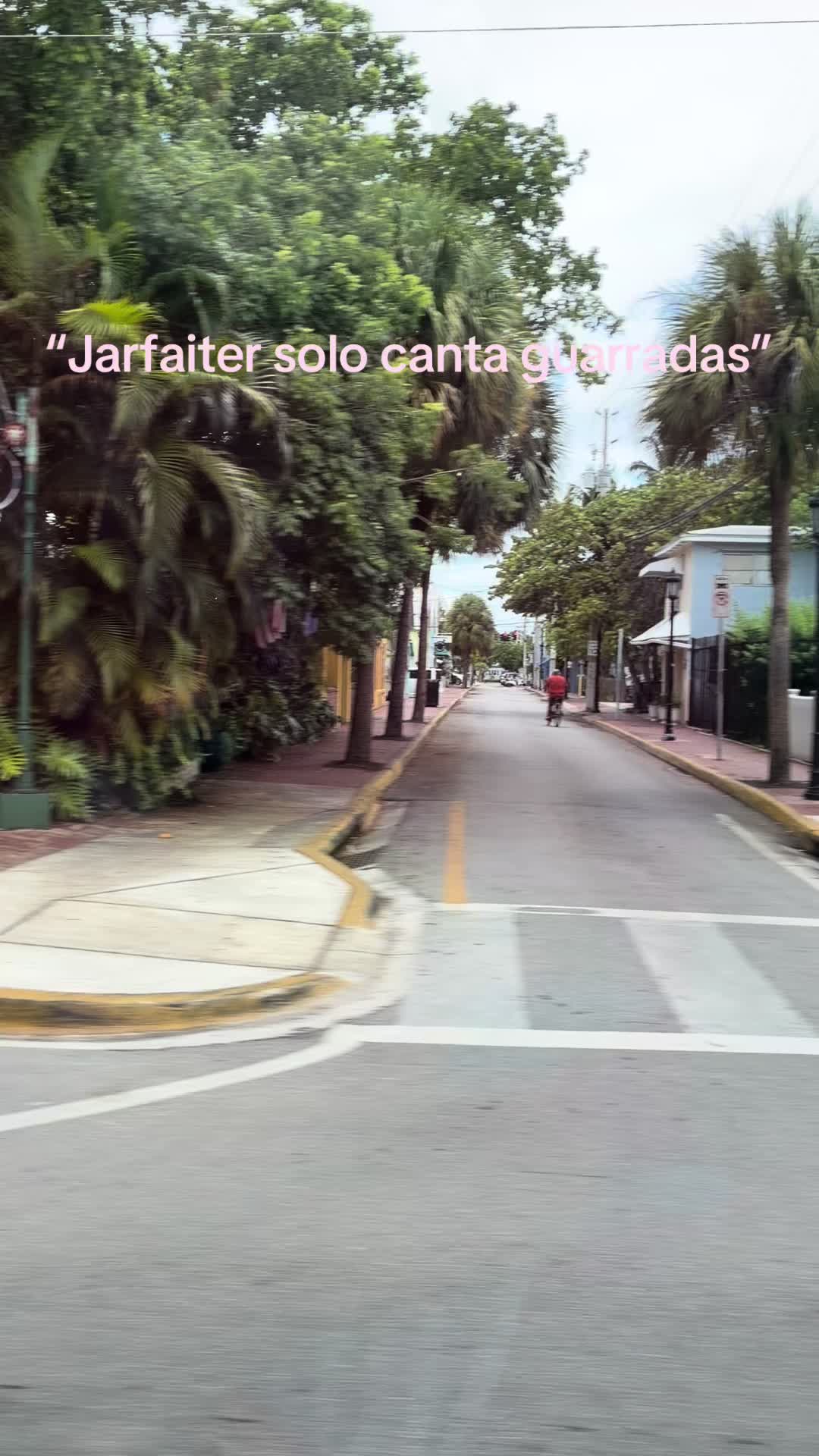 @maya🇨🇺