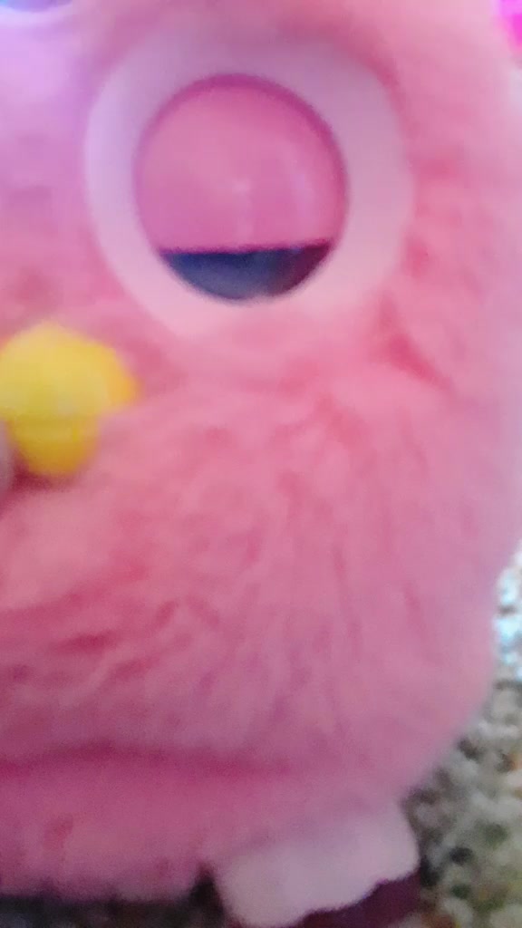 @I need more furbs